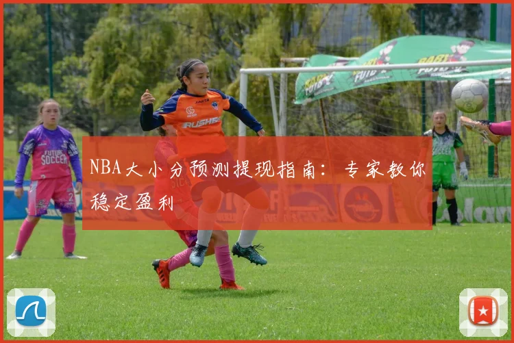 NBA大小分预测提现指南：专家教你稳定盈利