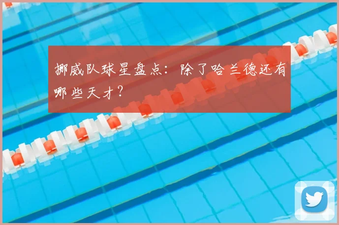 挪威队球星盘点：除了哈兰德还有哪些天才？
