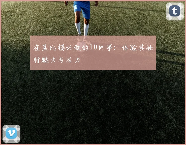 在莱比锡必做的10件事：体验其独特魅力与活力